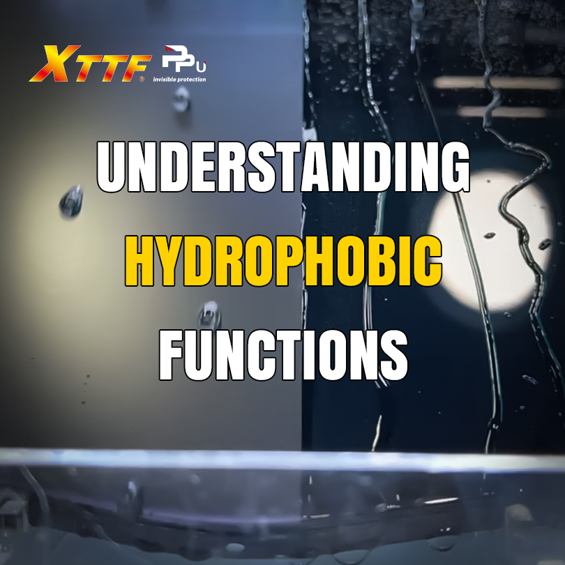 1-Understanding Hydrophobic Functions